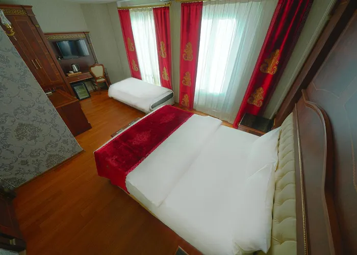 Napolyon Hotel Istanbul